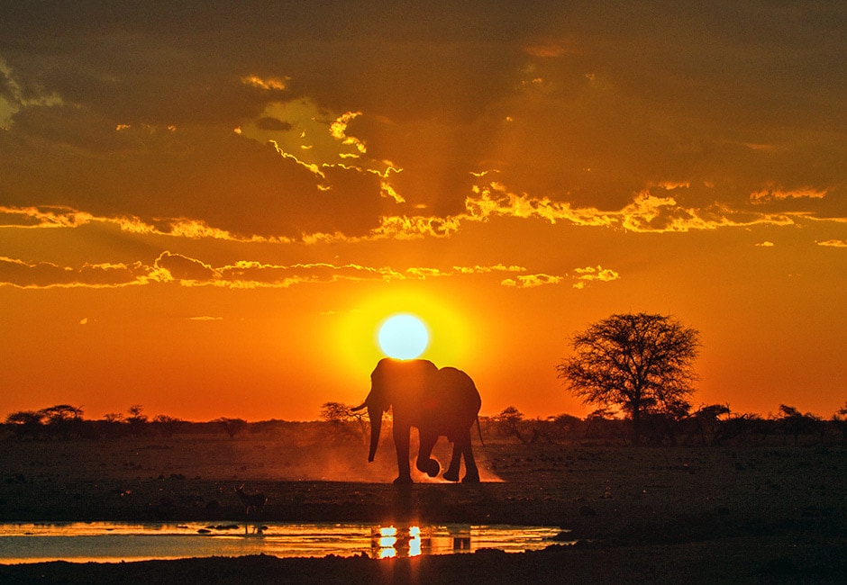 Reisen in Afrika