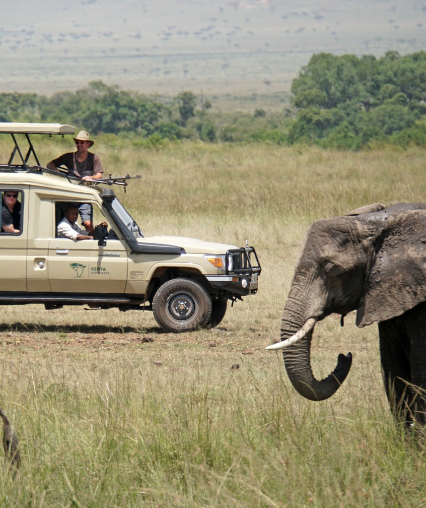 Highlights Gruppe Safari Kenia-8-tage