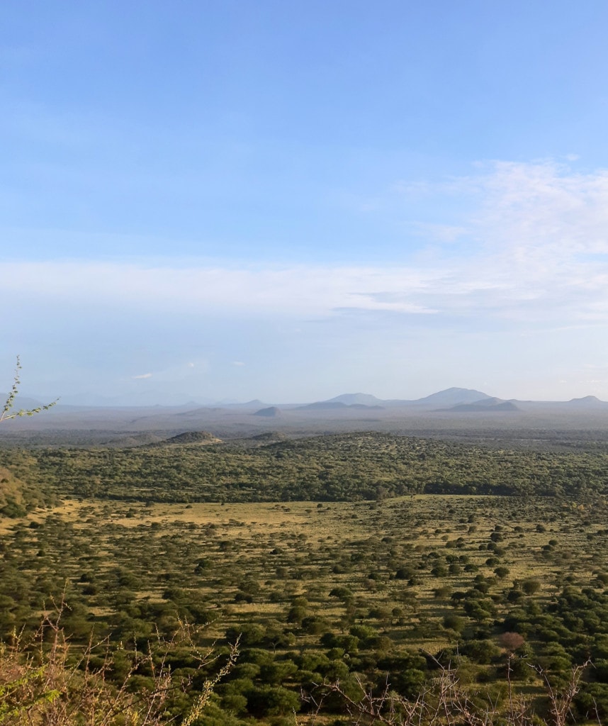 Highlights Kenia Safari Tsavo West