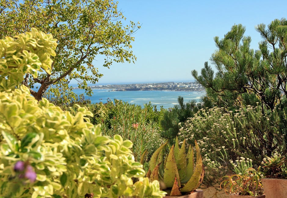 Hermanus lohnt sich Besuch