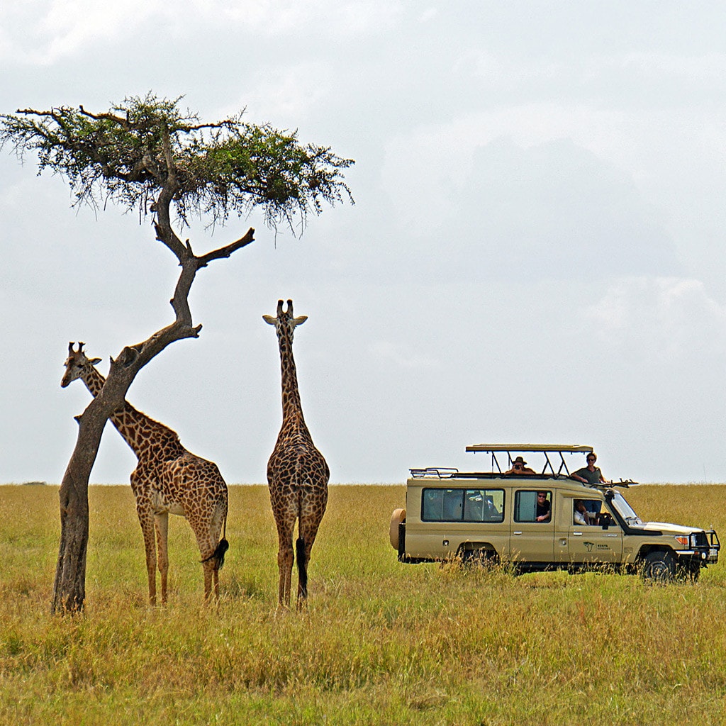Beste Safari Kenia