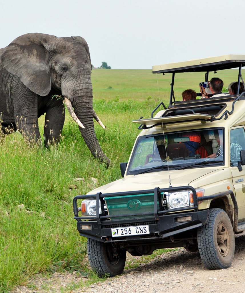 10 Tage Kenia Safari Gruppenreise