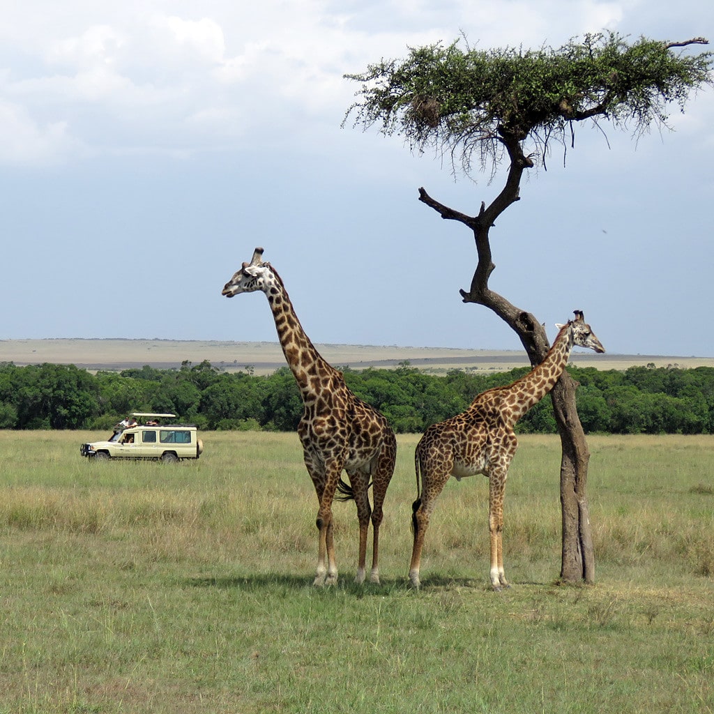 Masai Mara Camping Safari