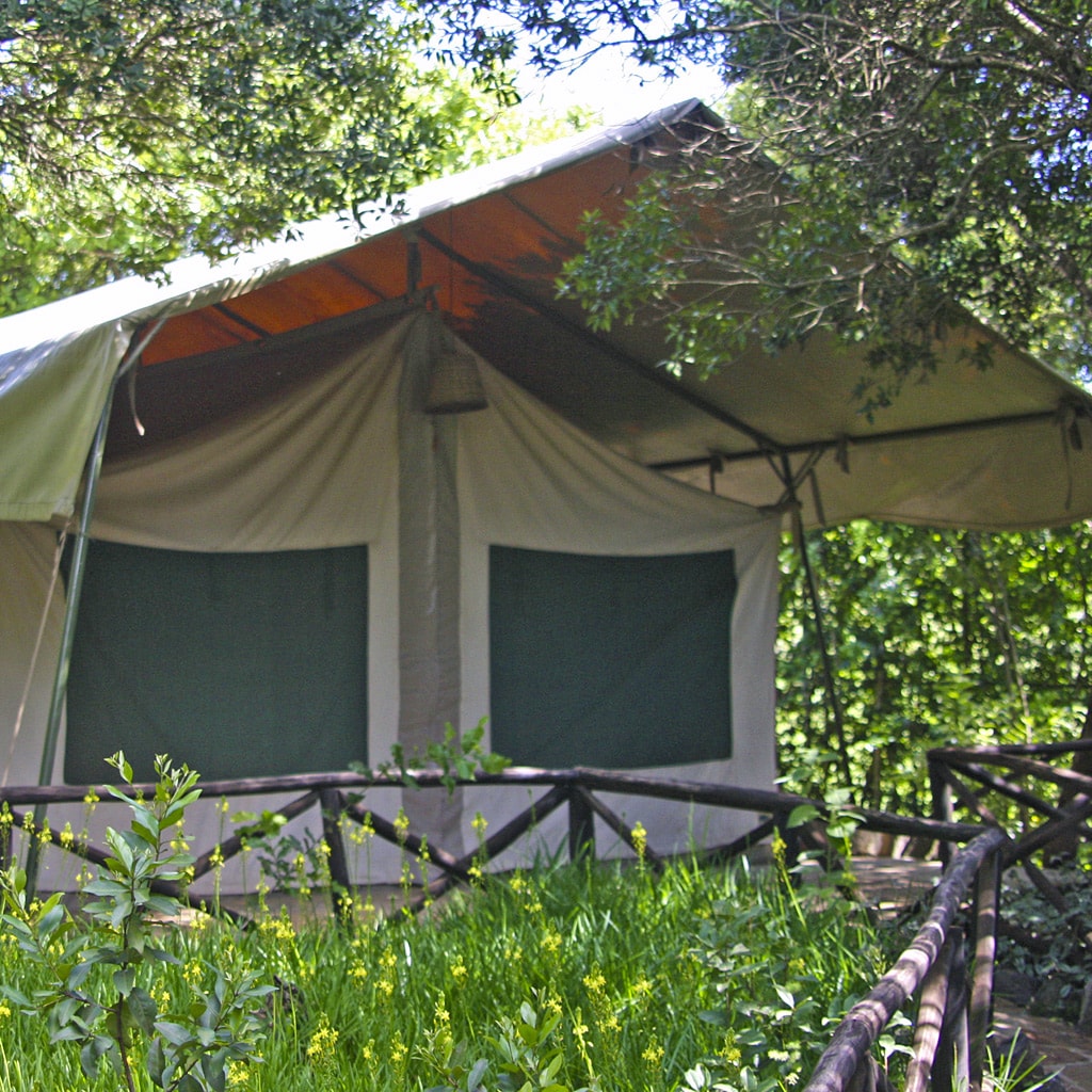 Rhino Watch Lodge 10 Tage Kenia Safari