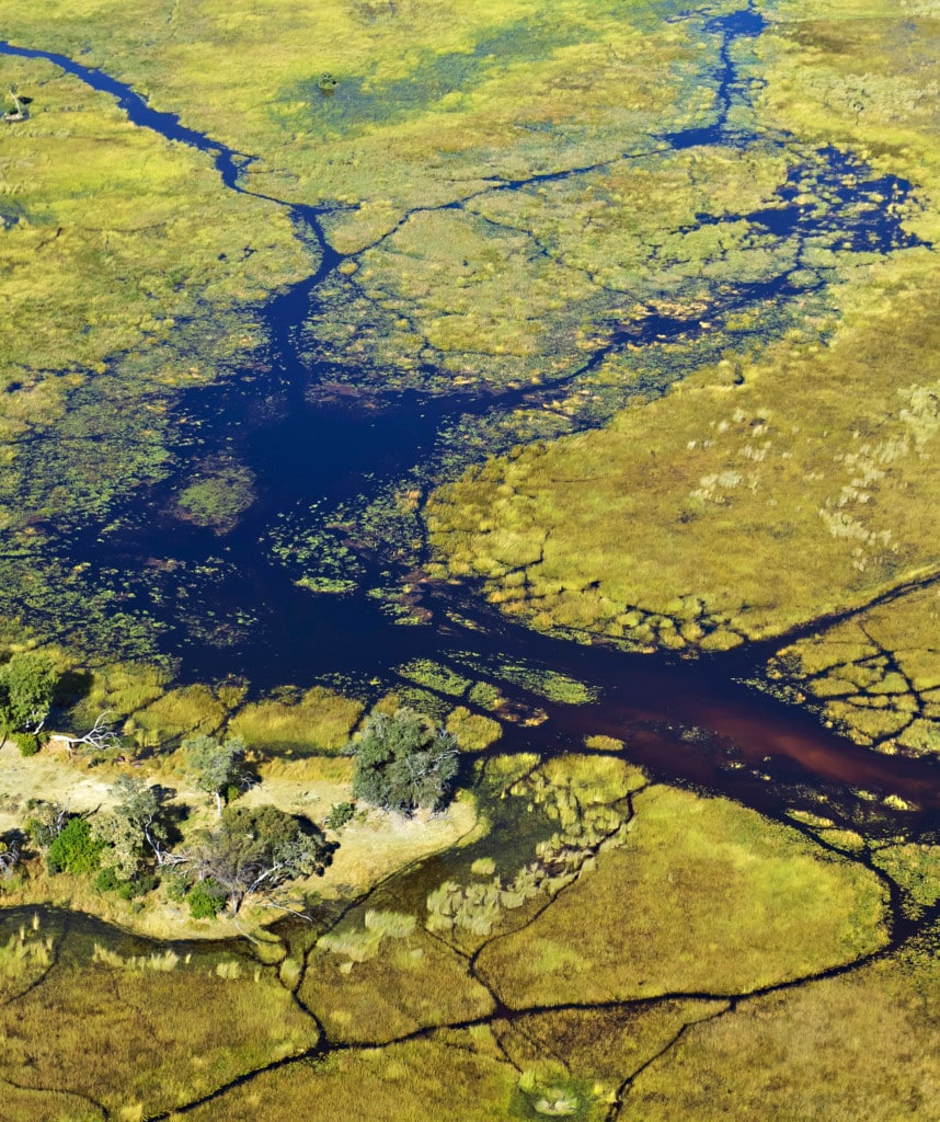 Botswana Okavango Delta