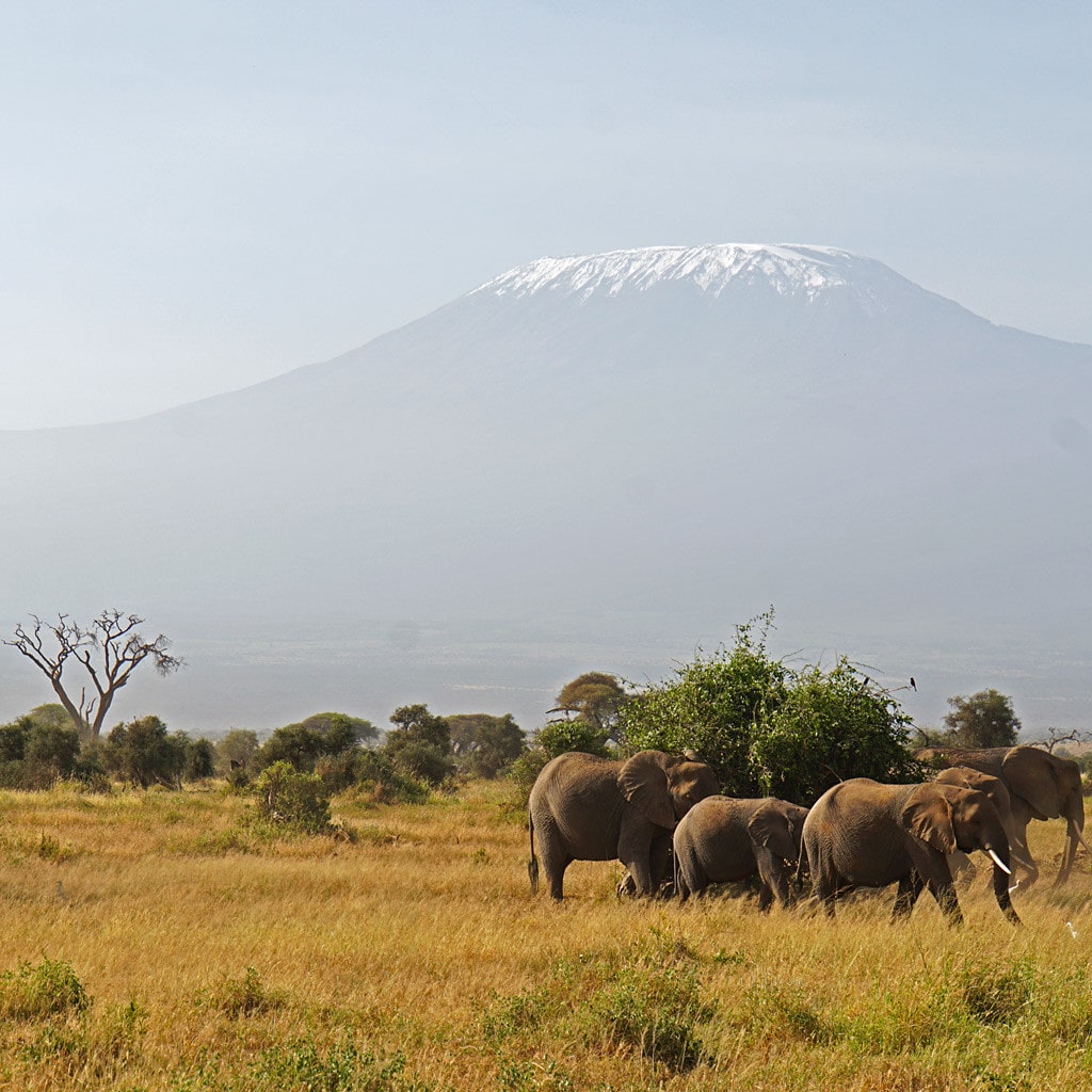 Camping Safari Kenia Amboseli