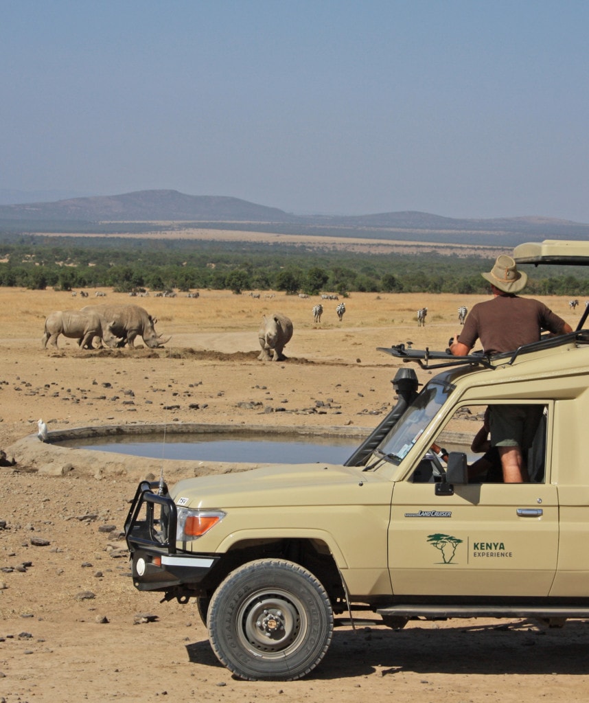 Pirschfahrt in der Ol Pejeta Conservancy in Kenias Norden