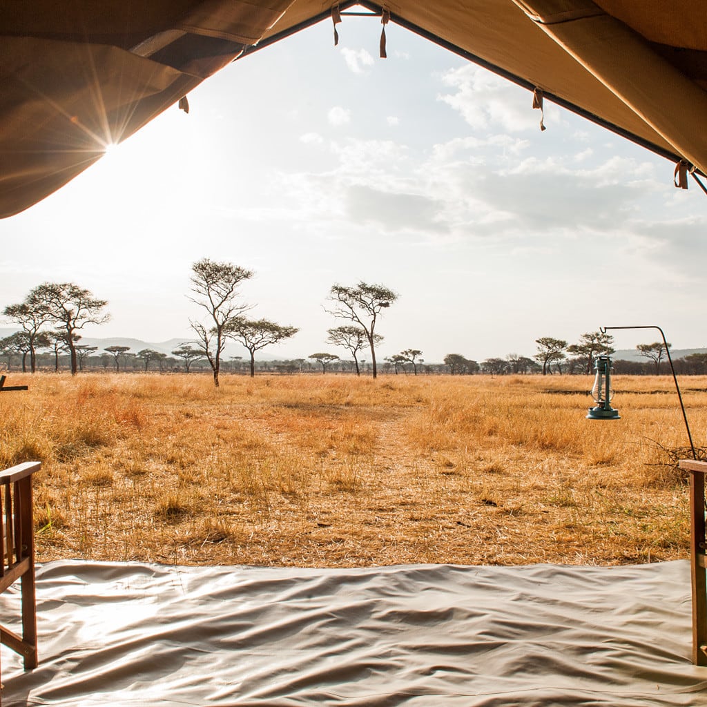 Kati Kati Camp Serengeti
