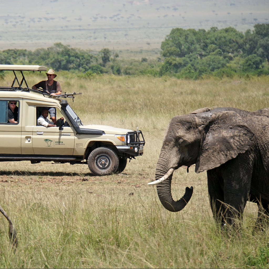 Masai Mara Safari Kenia