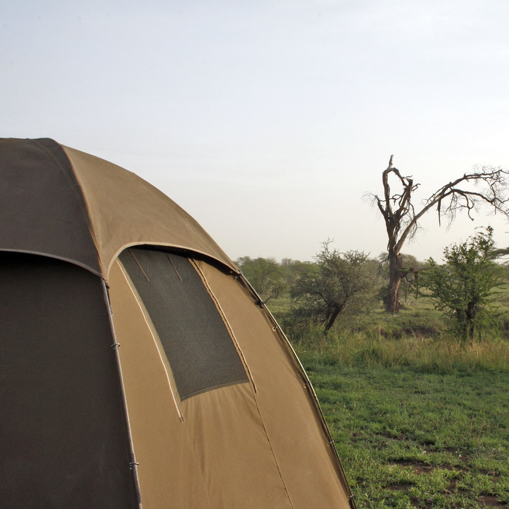 Camping Zelt Safari Kenia