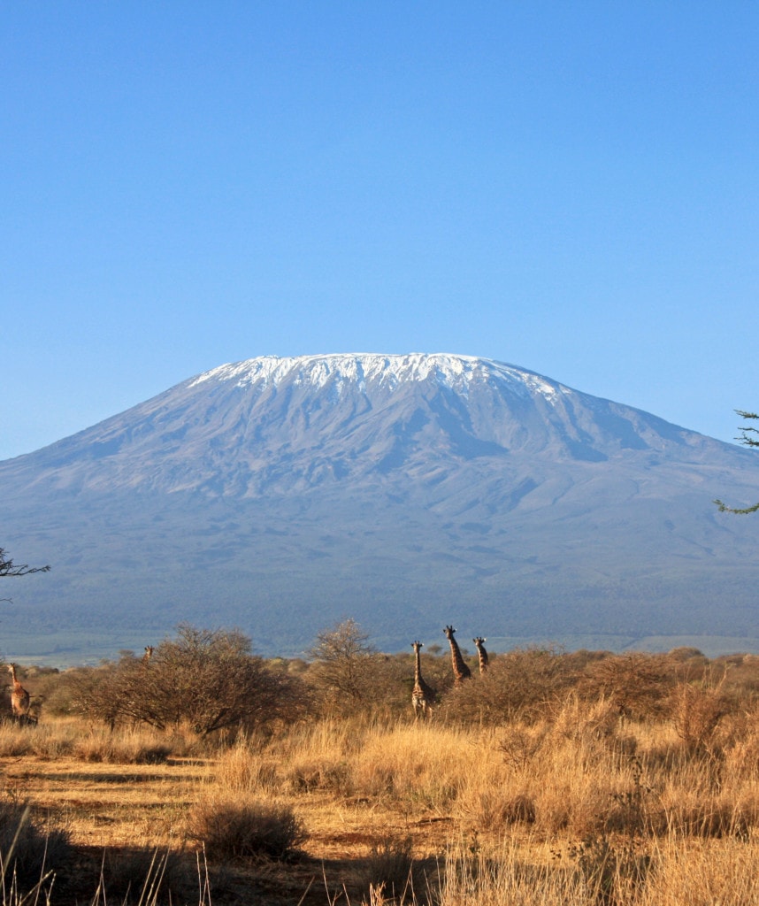Highlight Camping Safari Kenia Amboseli