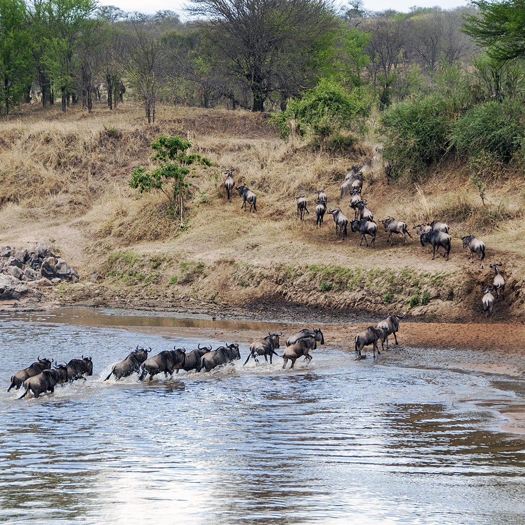 Kenia Camping Safari