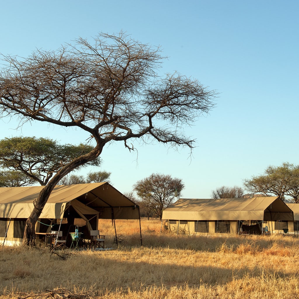 Tented Camps Kenia Tansania Safari