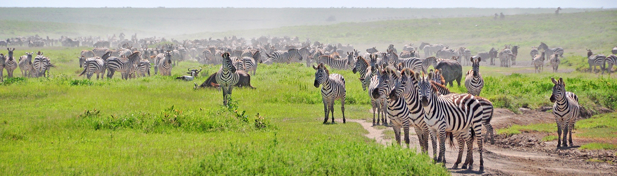 Camping Safari Kenia