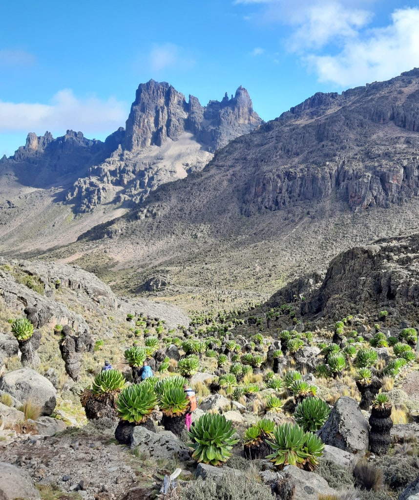 Berg Strand Safari Kenia Reise