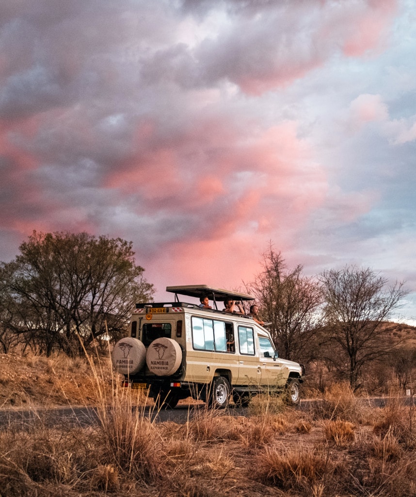highlights gruppe namibia botswana safari