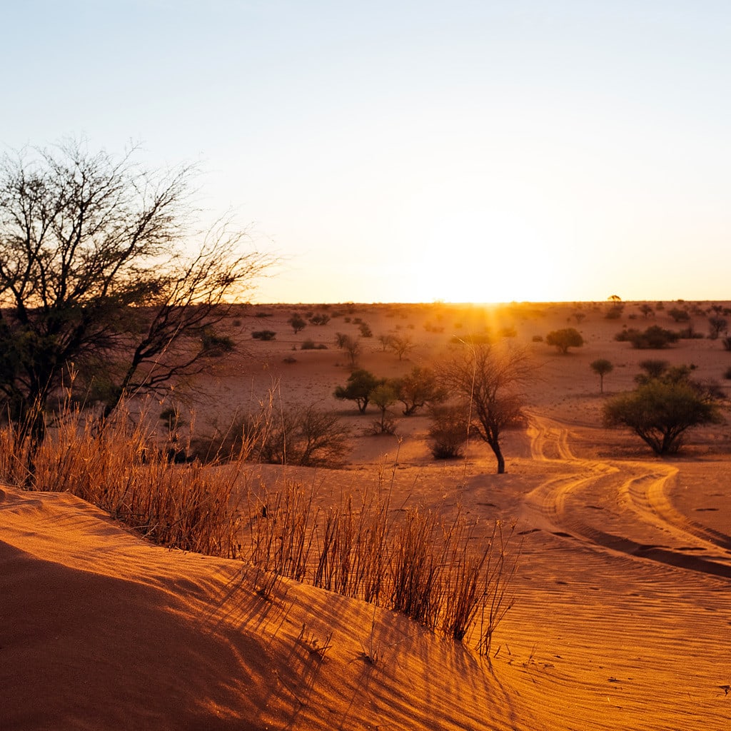 Namibia Lodge Safari