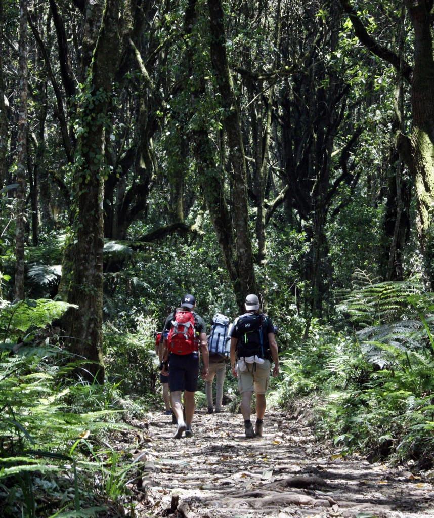 Tag 1 Machame Route Kilimanjaro