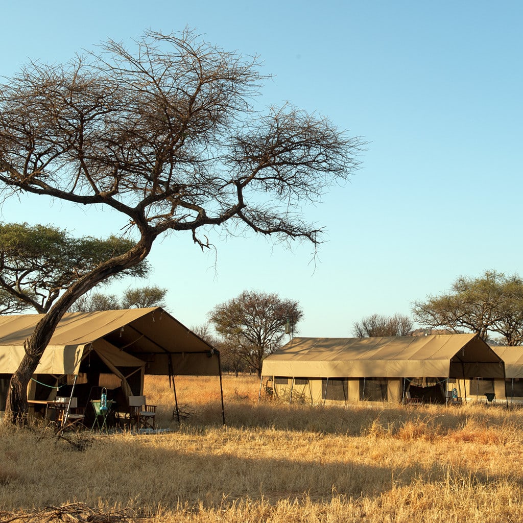 Afrika Safaris Kati Kati Camp