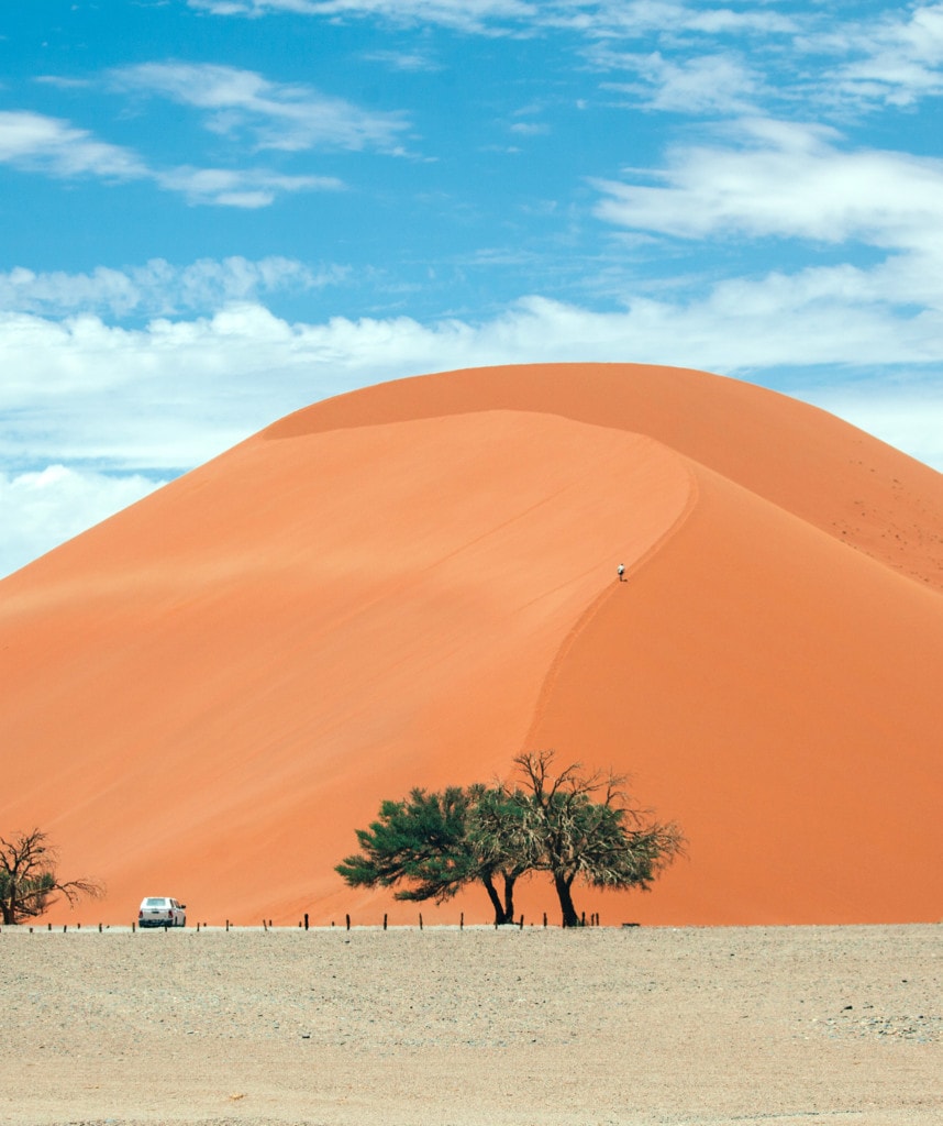 Highlights Namibia Botswana Safari Namib