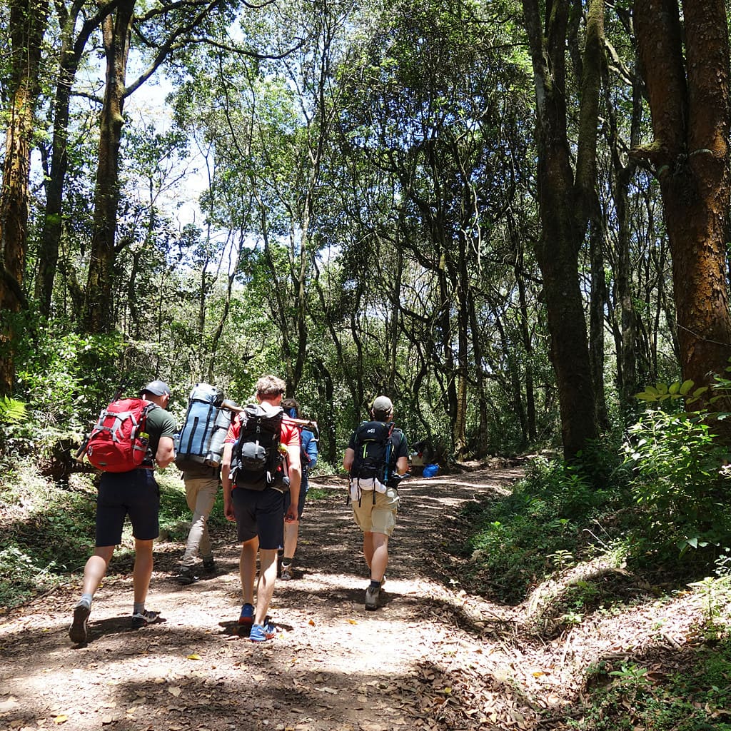 Machame Route Kilimanjaro