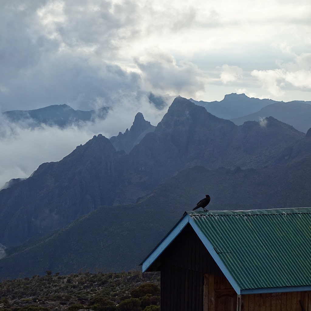 Kilimanjaro Trekking Machame