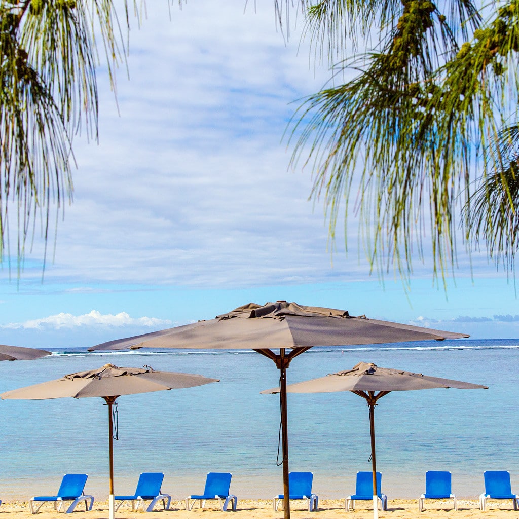 Le Nautile La Reunion