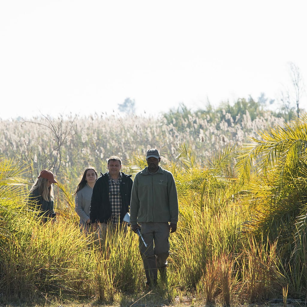 Fly-In Safari Botswana walking Safari