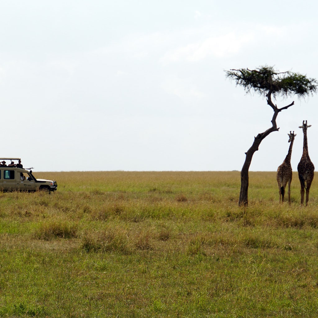 Afrika Safaris Masai Mara