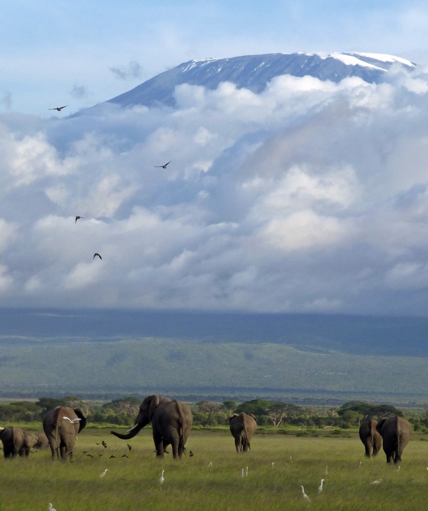 Kenia Reise Highlights Amboseli Kilimandscharo