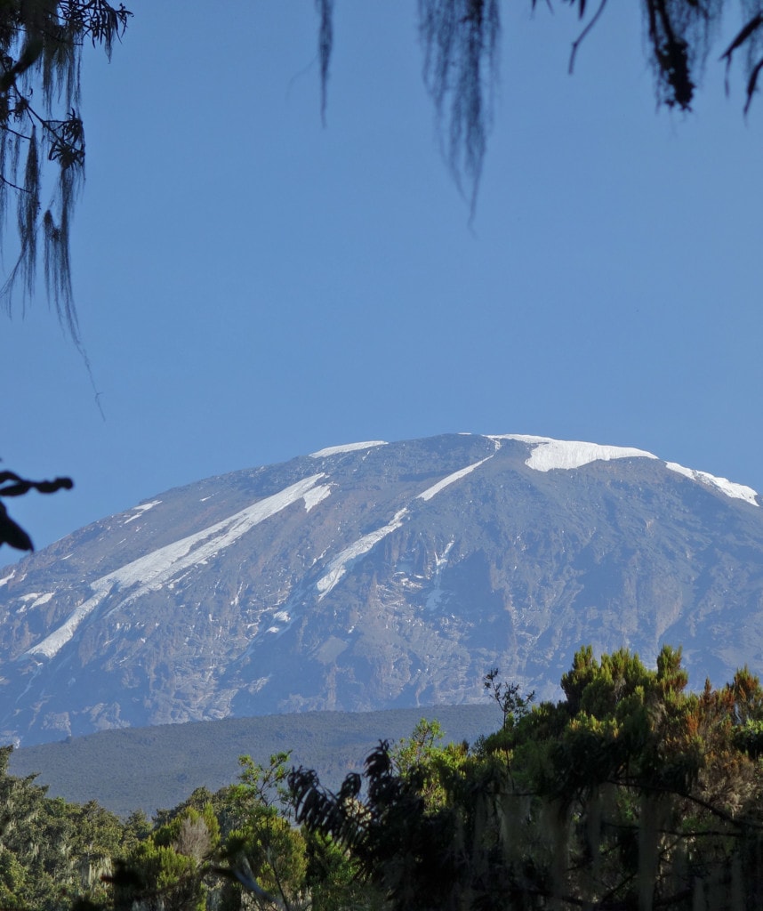 Tag 6 Machame Route Kilimanjaro