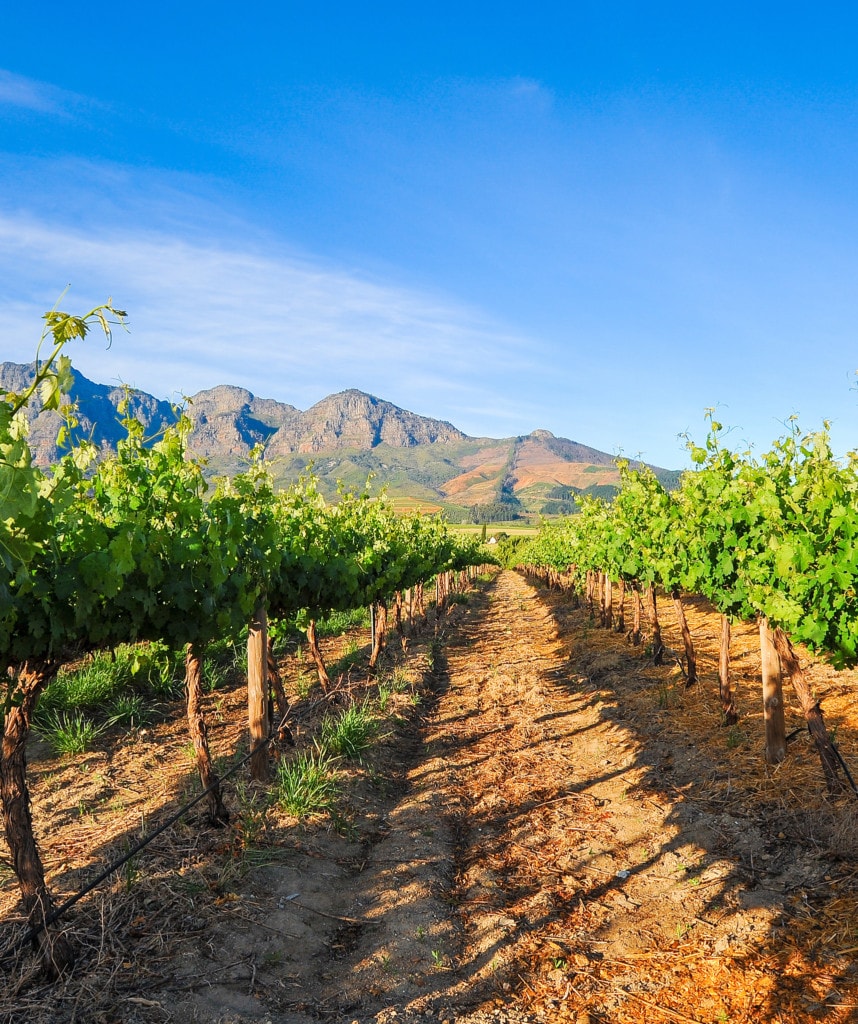 Winelands Südafrika Rundreise Selbstfahrer