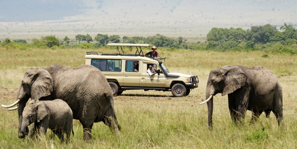 Ein Mann schaut aus der Dachluke eines Safarifahrzeugs und beobachtet drei Elefanten in der Savanne auf einer Afrika Safari.