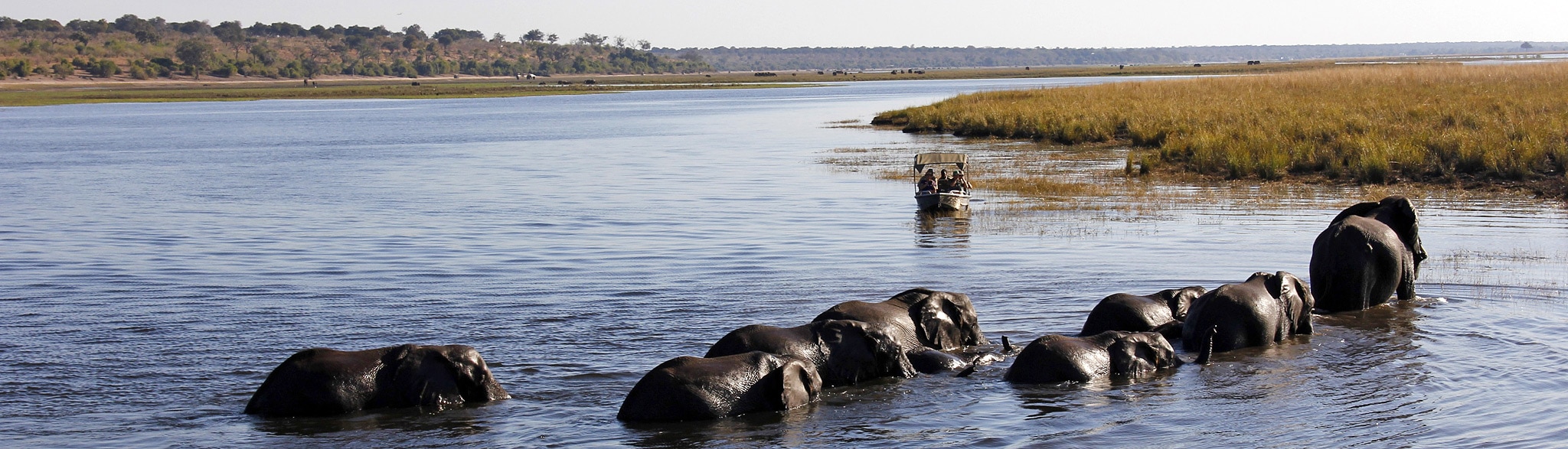 Namibia Botswana Safari