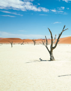 Namibia Lodge Safari