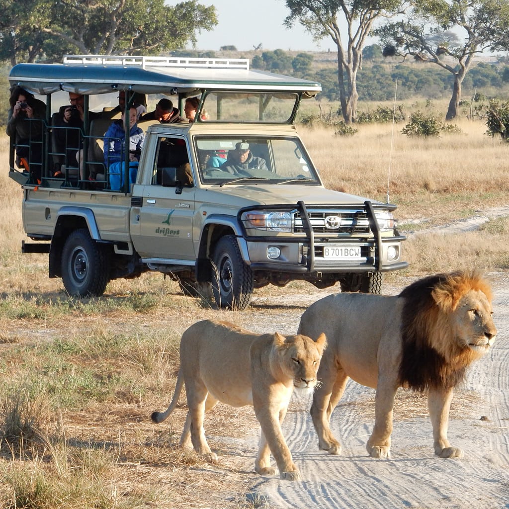 Gruppenreisen Afrika