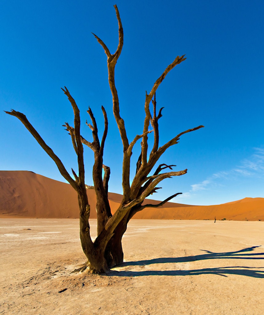 Highlights Namibia Rundreise Selbstfahrer Deadvlei