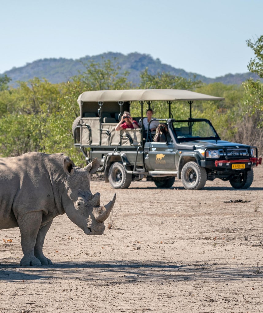 Highlights Namibia Selbstfahrer Reise Ongava