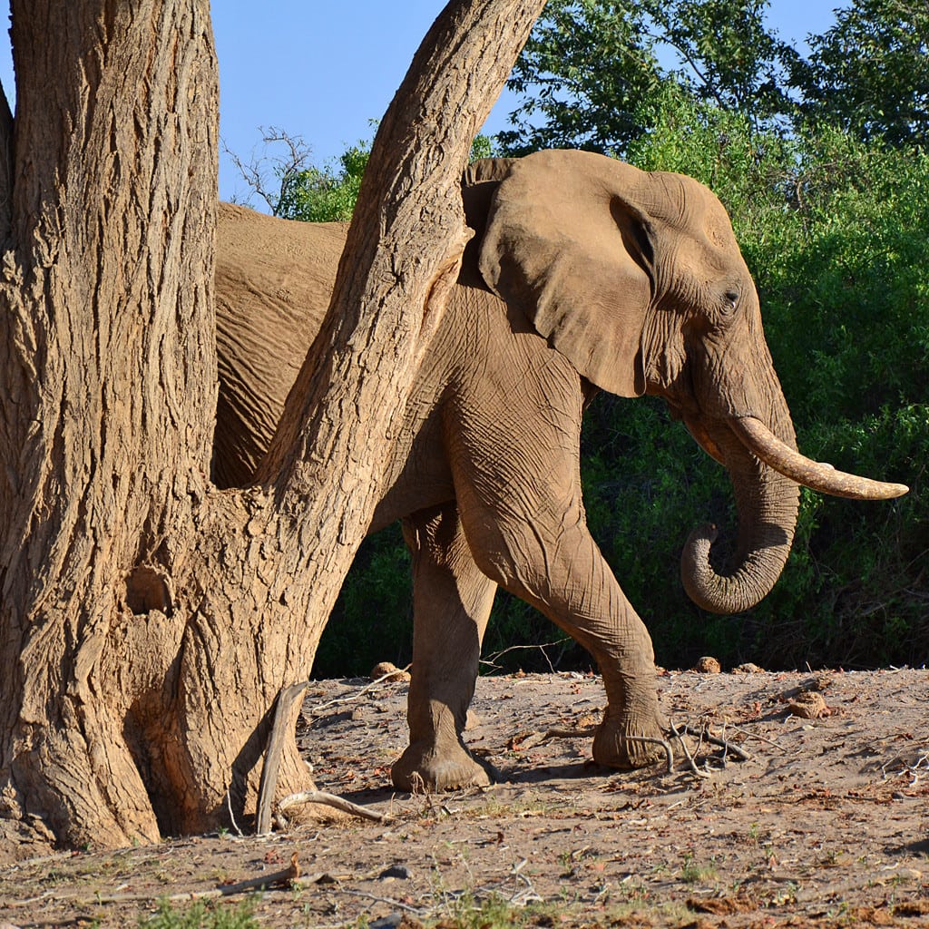 Rundreise Namibia Norden Individual