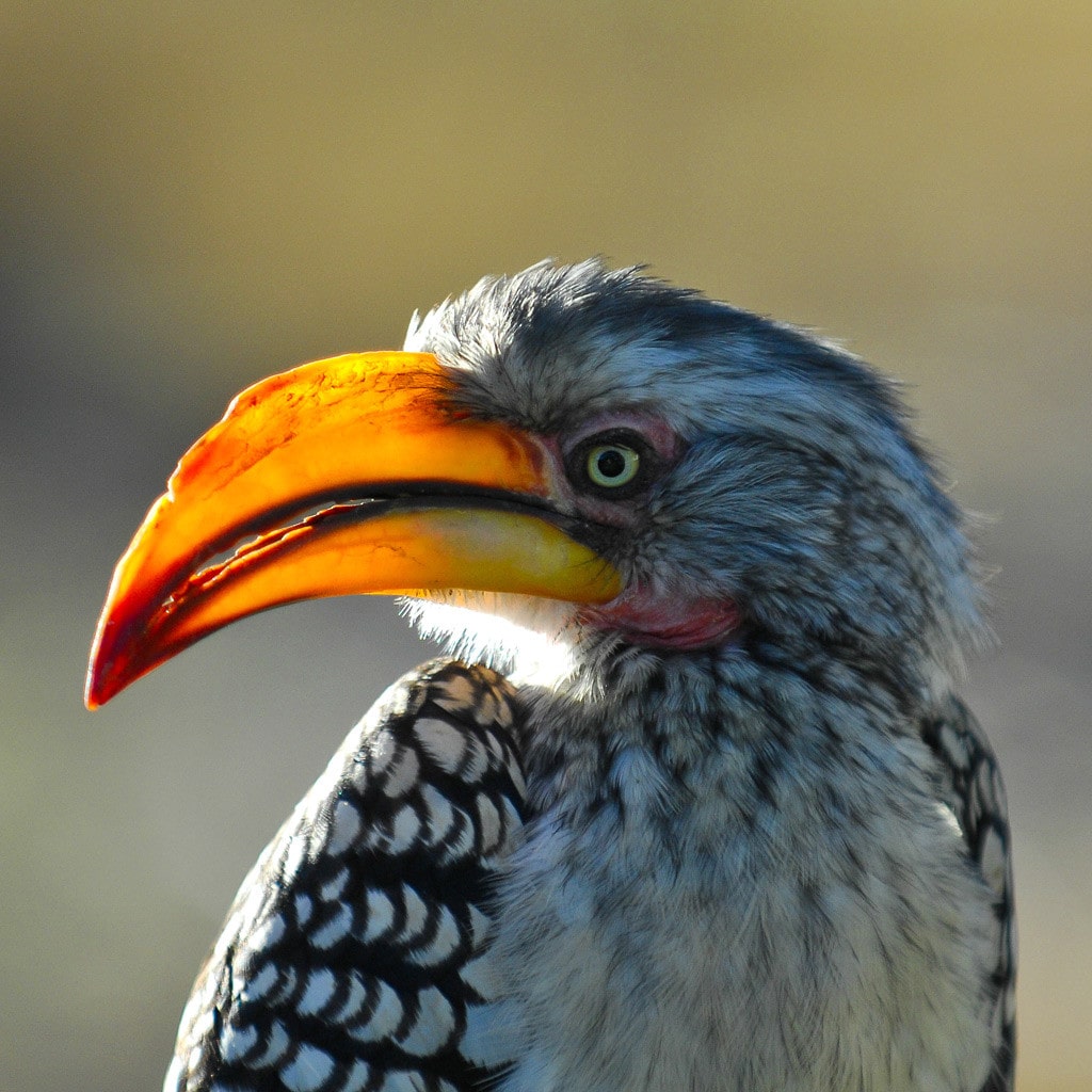 Selbstfahrer Namibia Rundreise
