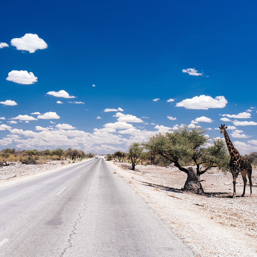 Selbstfahrer Rundreise Namibia Botswana