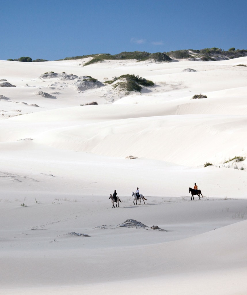 Grootbos Nature Reserve Suedafrika