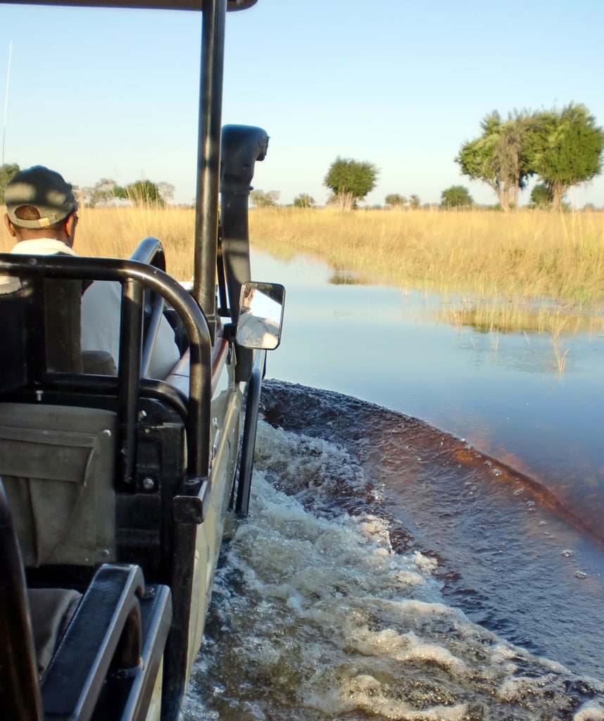Highlights Namibia Botswana Roadtrip Moremi