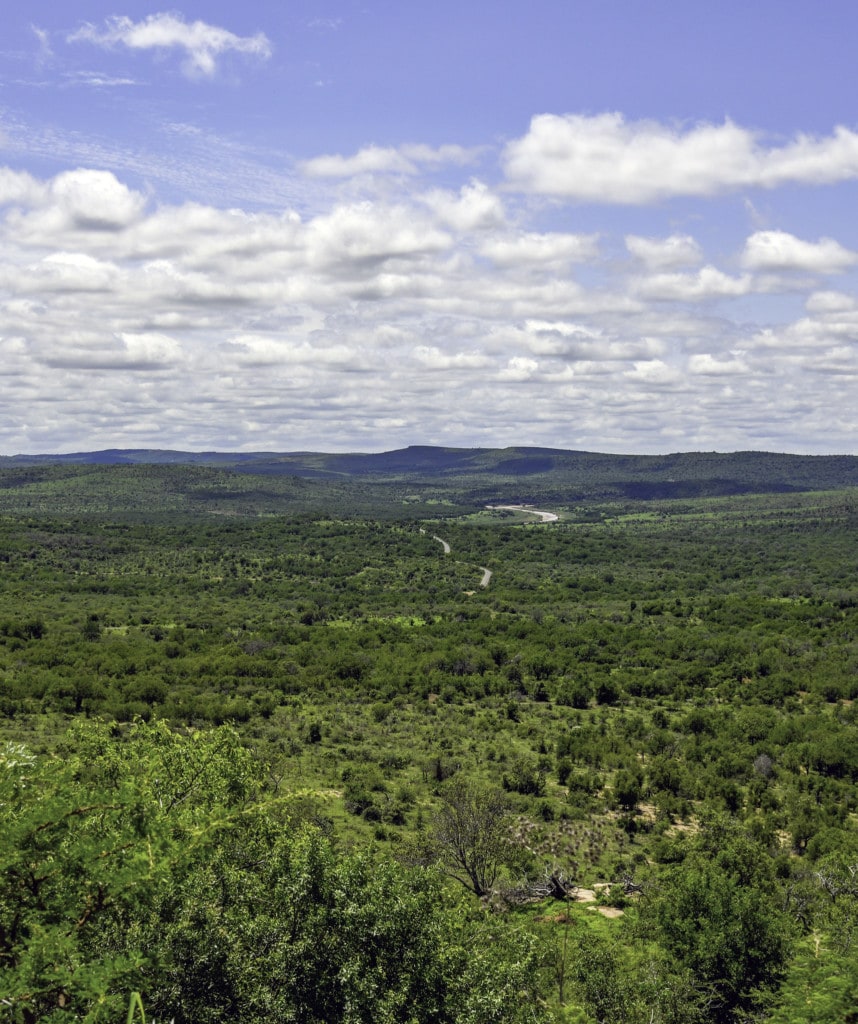 Hluhluwe-Imfolozi Park Suedafrika