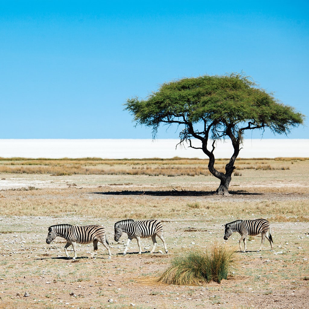 Individual Mietwagen Windhoek Victoria Falls