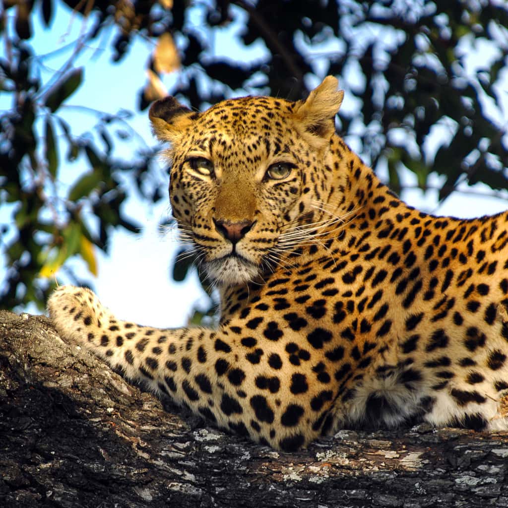 Rundreise Selbstfahrer Namibia Botswana