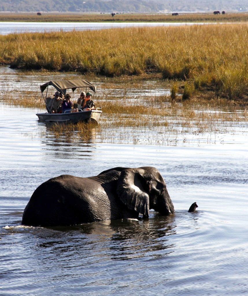 Highlights Namibia Botswana Rundreise Chobe