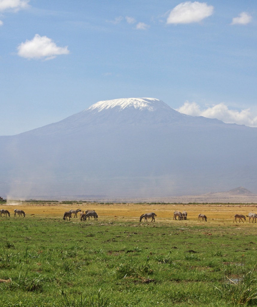 Kenia Safaris Sehenswürdigkeiten Amboseli und Kilimanjaro