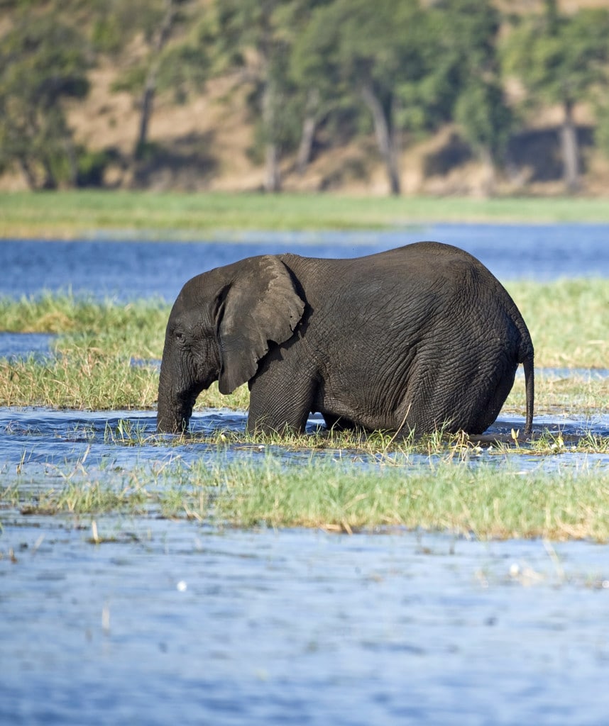 Highlights Mietwagen Windhoek Victoria Falls Chobe