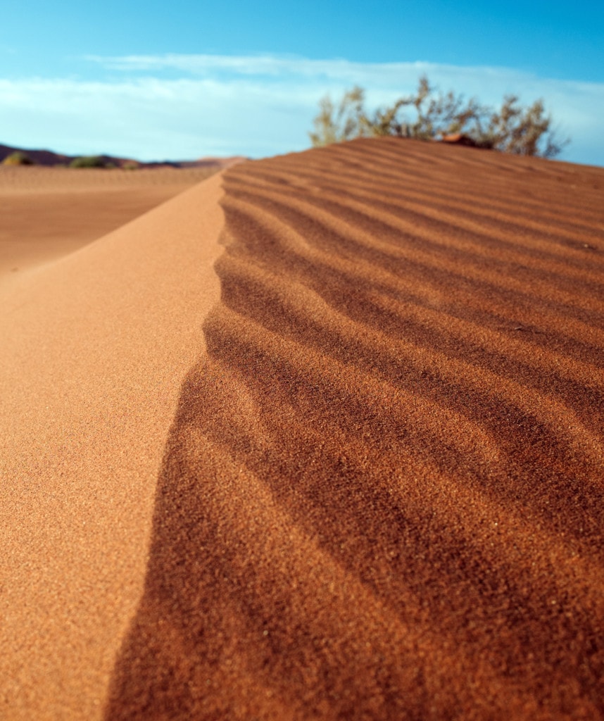 Highlights Namibia Selbstfahrer Reise Namib